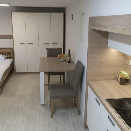 Elegant Studio On The Prime Location 卢布尔雅那