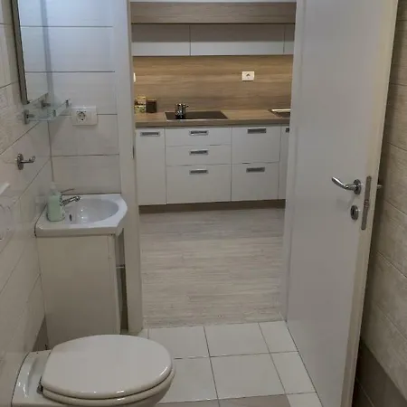 Elegant Studio On The Prime Location 公寓 卢布尔雅那